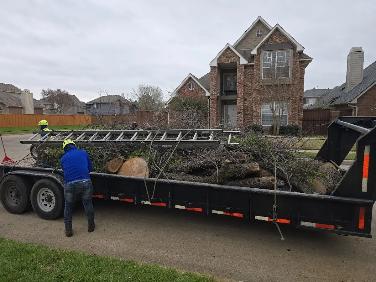 Expert Tree Fertilization with proper safety equipment in Mahnomen